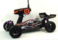 3003 Speed Racer Mali Racing 1:10 Brushless Buggy RTR